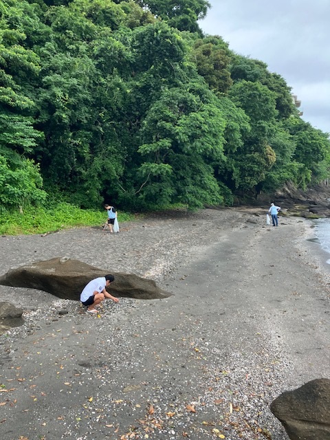 6月のSDGs活動状況