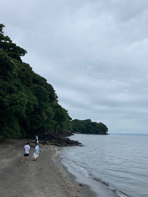 6月のSDGs活動状況