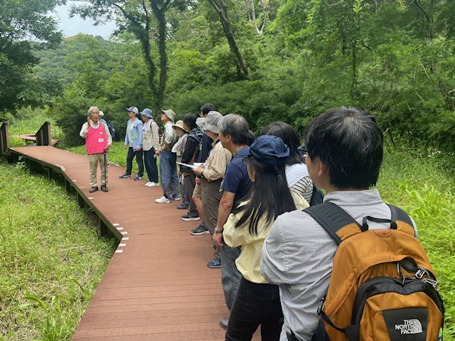 6月の小網代ウォーク