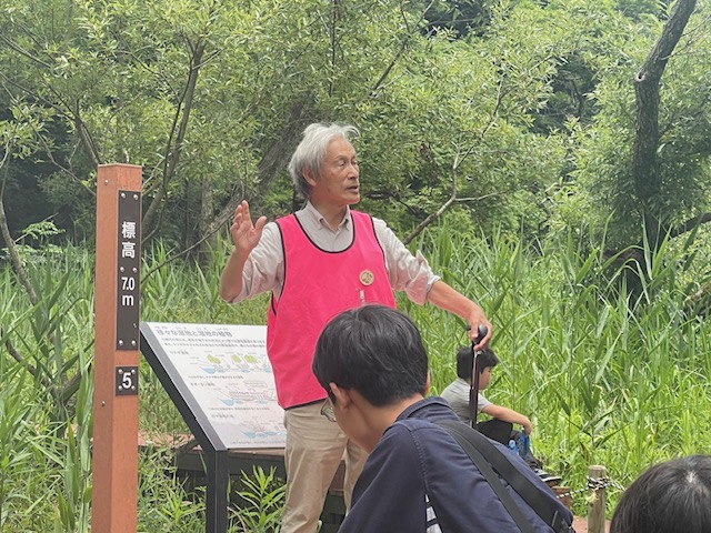 6月の小網代ウォーク