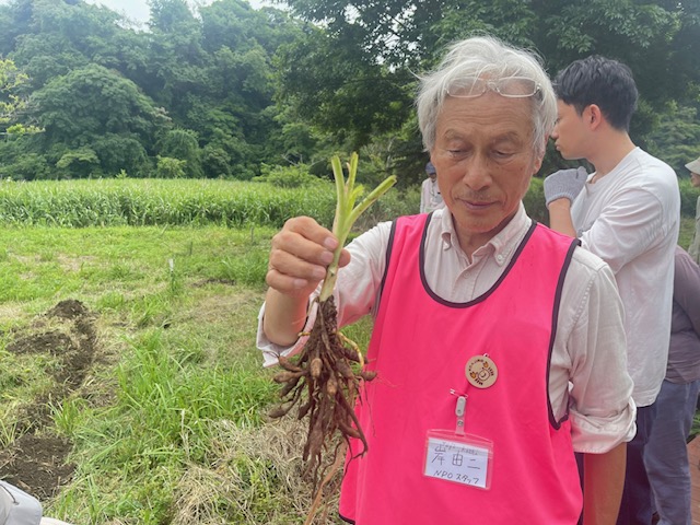 6月の小網代ウォーク