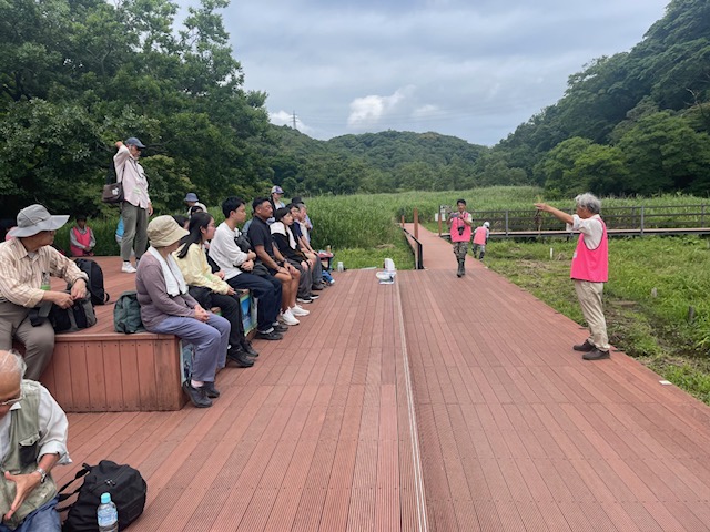 6月の小網代ウォーク