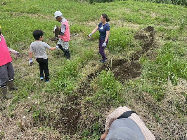 6月の小網代ウォーク