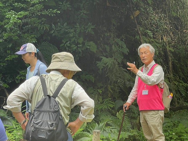 6月の小網代ウォーク