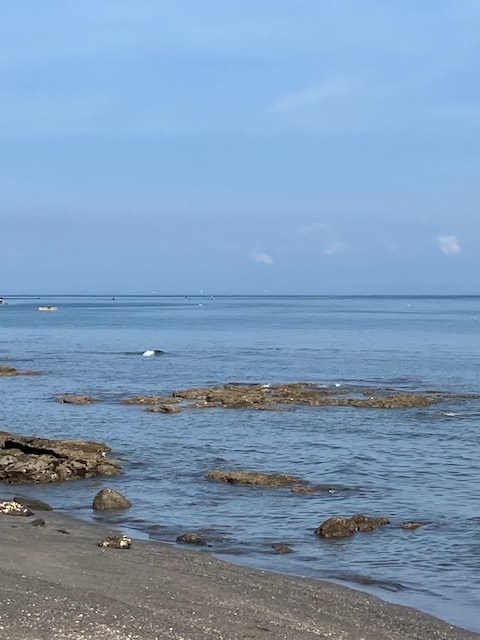 7月のSDGs活動状況