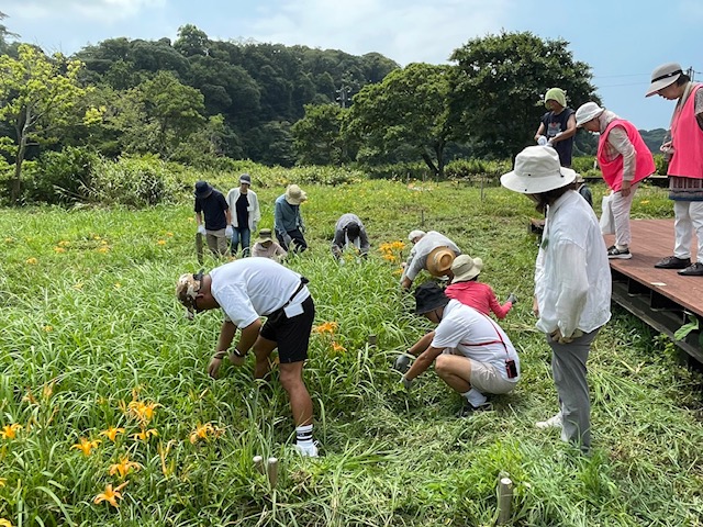 8月小網代ウォーク