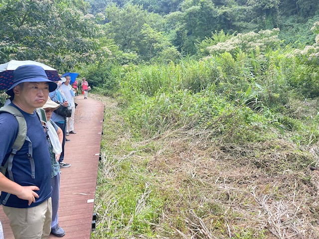 8月小網代ウォーク