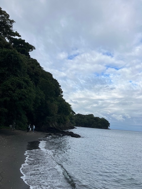 10月のSDGs活動状況