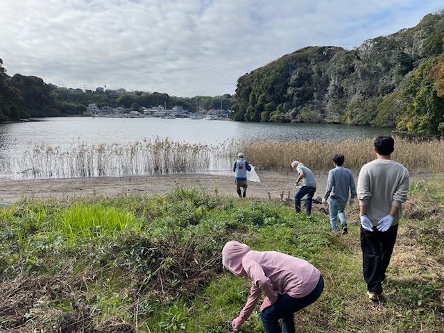 11月小網代ウォーク