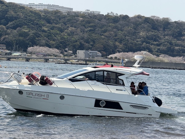 （特別行事）桜観賞クルージング大会2025