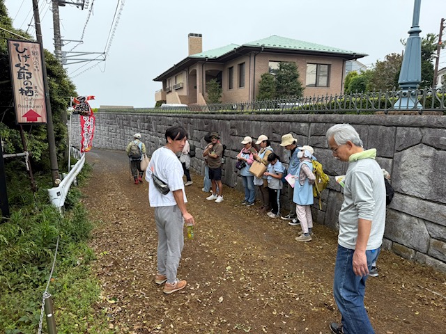 2025年5月小網代ウォーク