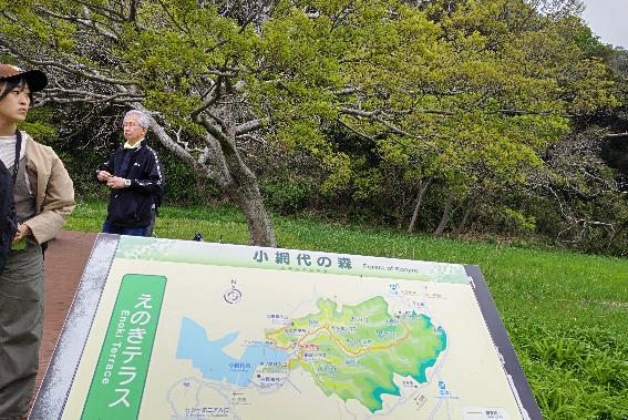2025年4月小網代ウォーク