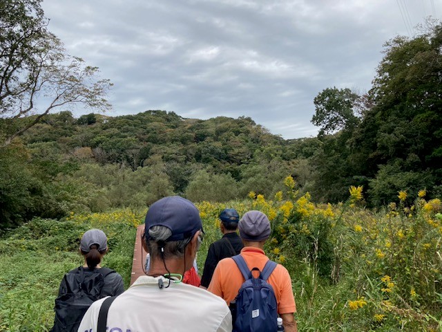 2025年10月小網代ウォーク