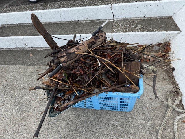 2025年10月のSDGs活動状況