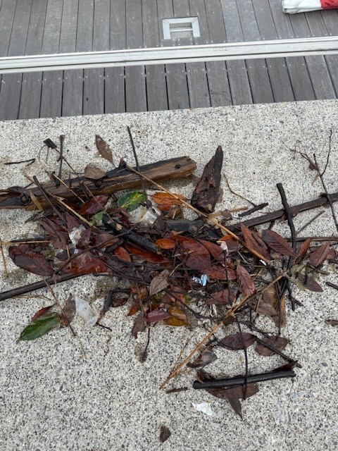 2025年10月のSDGs活動状況