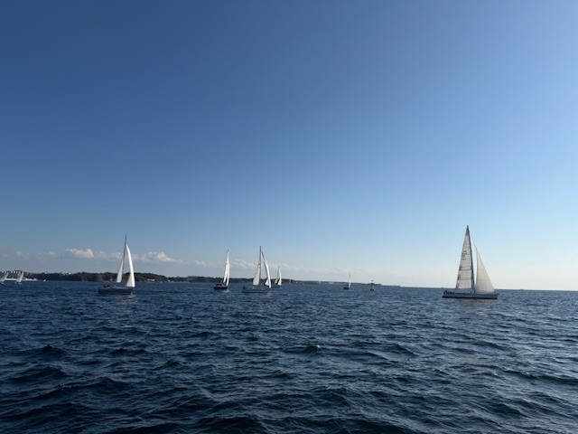 第13回 ファミリーヨットレース