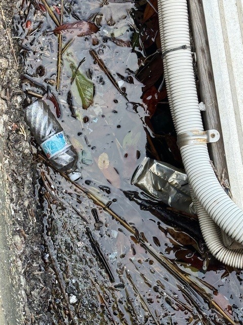 2025年11月のSDGs活動状況