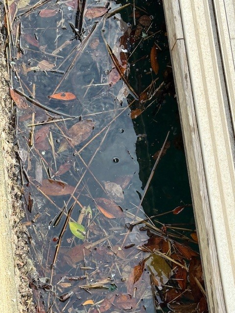 2025年11月のSDGs活動状況