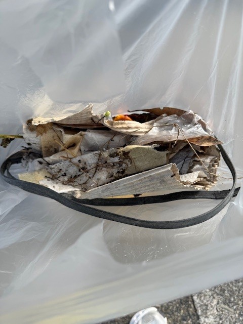 2025年11月のSDGs活動状況