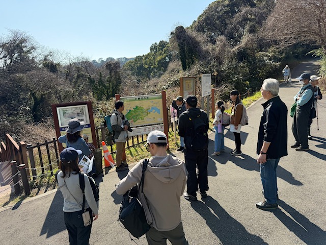 2026年2月小網代ウォーク