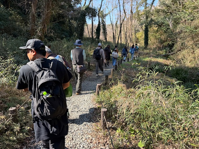 2026年2月小網代ウォーク