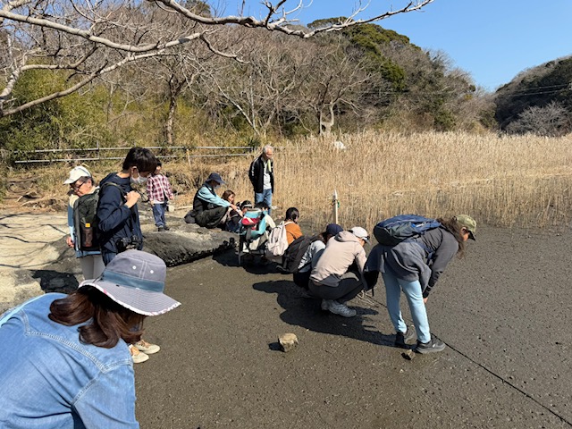 2026年2月小網代ウォーク