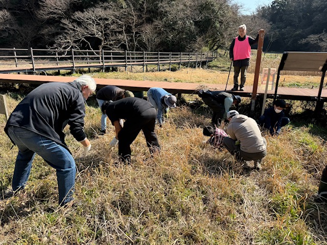 2026年2月小網代ウォーク