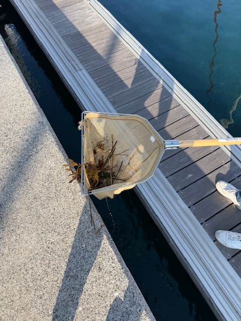 2026年2月のSDGs活動状況