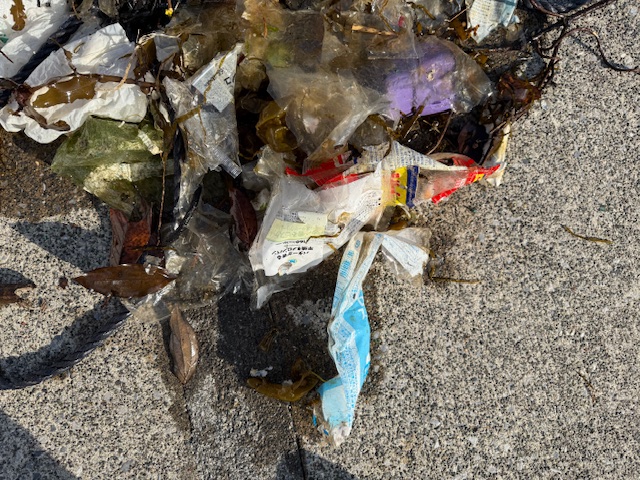 2026年2月のSDGs活動状況